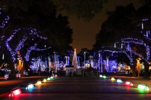 捷運站附近旅館｜交通景點｜馥華大觀商旅Hotel purity